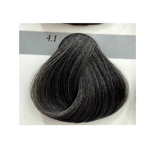 Gouallty Carrola Hair Color Cream 4.1