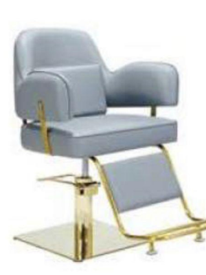 salon chair gray