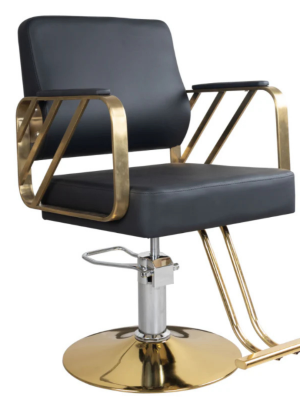 chair salon chair black