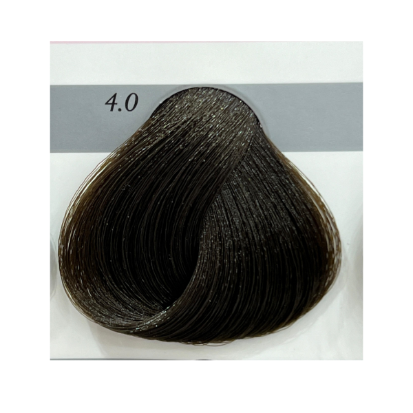 Gouallty Carrola Hair Color Cream 4=4.0