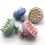 scalp brush