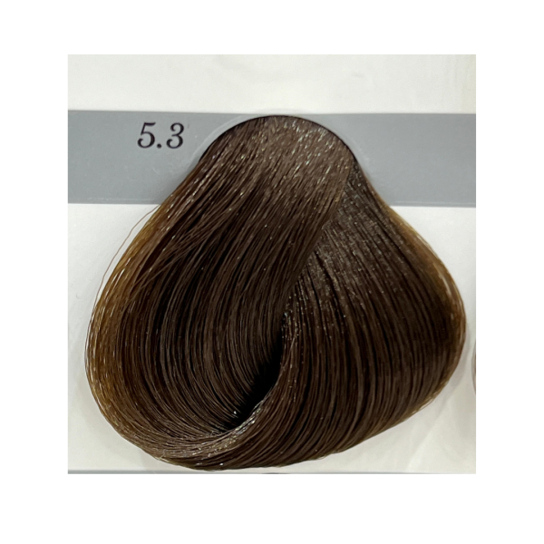 Gouallty Carrola Hair Color Cream 5.3
