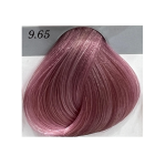 Gouallty Carrola Hair Color Cream 9.8
