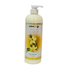 Activeplus hand and body lotion 1.100l vanilla